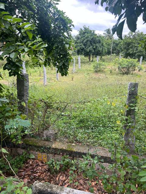 Plot For Sale  In Woodsville In Harohalli