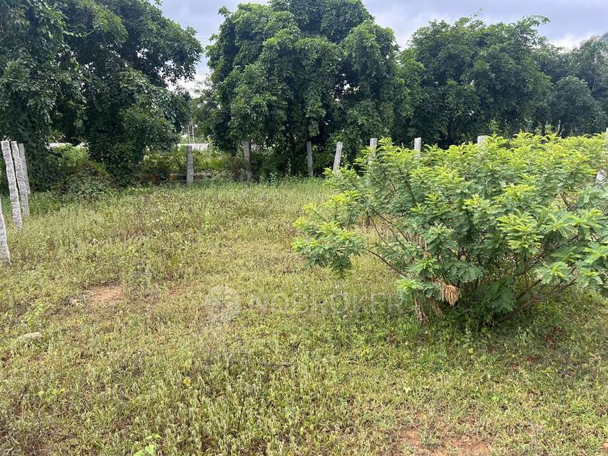 Plot For Sale  In Woodsville In Harohalli