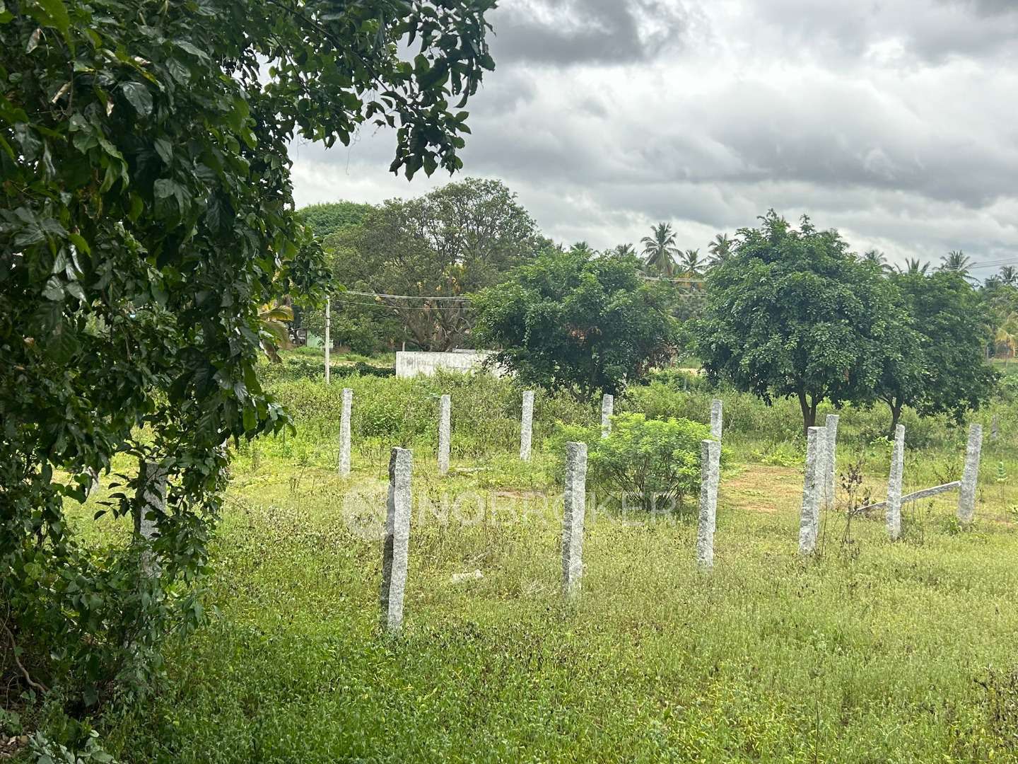 Plot For Sale  In Woodsville In Harohalli