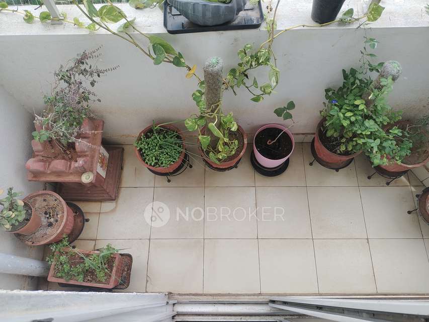 2 BHK Flat In Sri Heights, Rayasandra For Sale  In Rayasandra