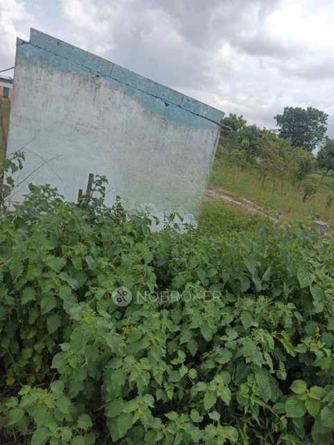 Industrial Shed in Hayatnagar Mandal, Hyderabad for Rent 