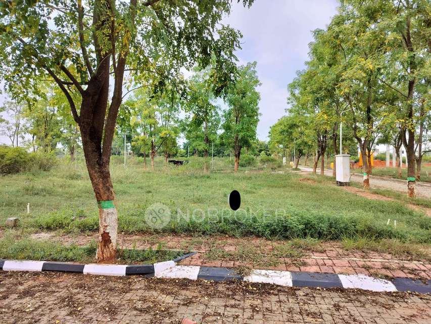 Plot For Sale  In Dhammanagi Florence  In Shettigere