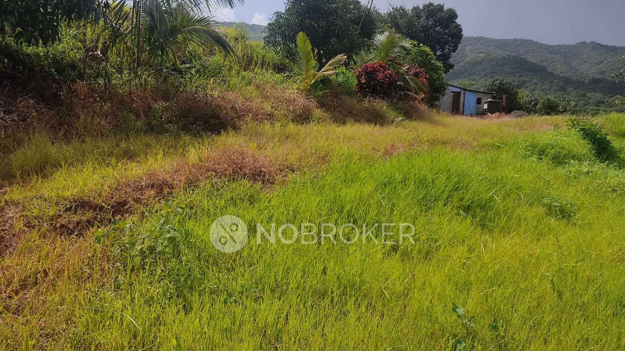 Plot For Sale  In Hatve Khurd