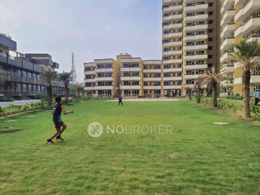 2 BHK Flat In Pyramid Urban 67a for Rent  In  Sector 67a