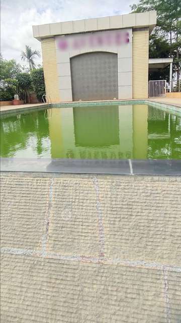 2 BHK Flat In 7 Avenues for Rent  In Balewadi