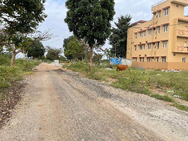 Plot For Sale  In Millennium Burgundy  In Rajunkunte