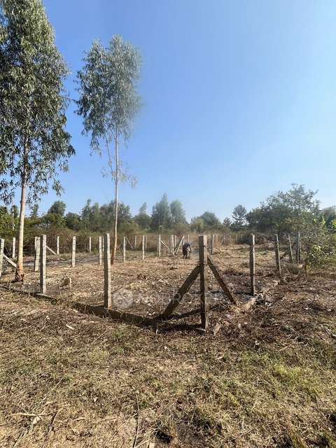 Plot For Sale In Kachamaranahalli