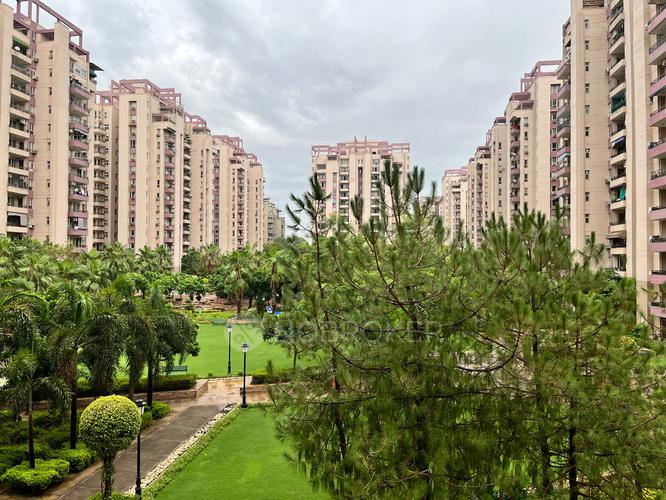 Orchid Petals Sector 49 Rent WITHOUT BROKERAGE Semifurnished 4 BHK