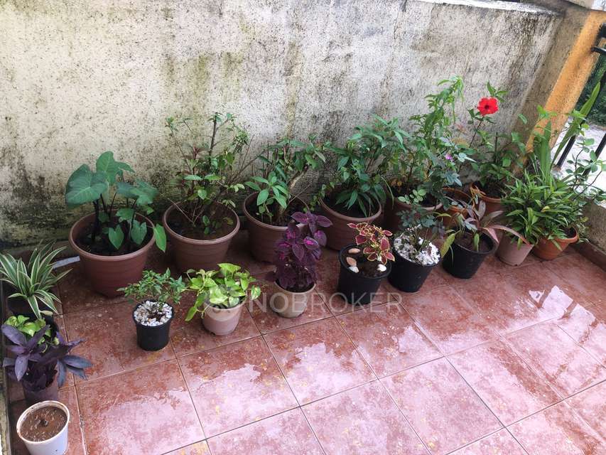 2 BHK Flat In Krishnaraj Vrindavan Complex For Sale  In Palghar