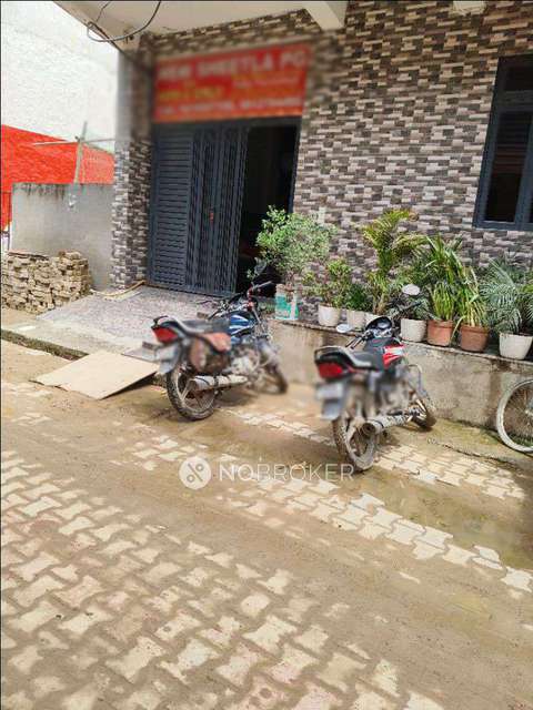 PG for Anyone in Sector 18