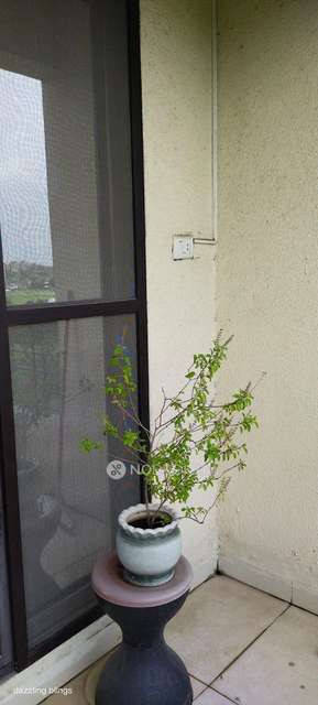 1 BHK Flat In Sadguru Kripa For Sale  In Ambernath