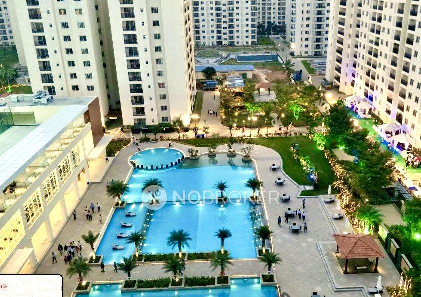 3 BHK Flat In Adarsh Palm Retreat   for Rent  In Bellandur