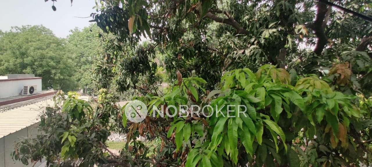 4+ BHK Flat In Standalone Building  For Sale  In  Civil Lines