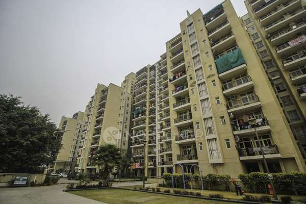 2 BHK Flat In Omaxe New Heights, Sector 78 for Rent  In Sector 78