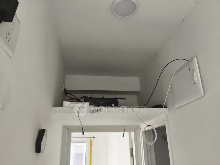 2 BHK Flat In Godrej 24 for Rent  In Hinjawadi