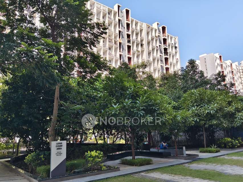 2 BHK Flat In Godrej 24 for Rent  In Hinjawadi