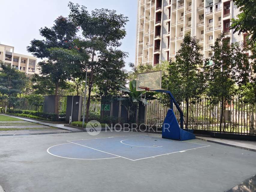 2 BHK Flat In Godrej 24 for Rent  In Hinjawadi