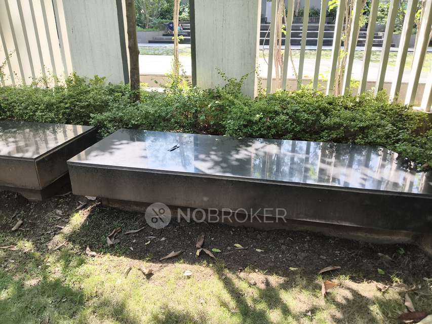 2 BHK Flat In Godrej 24 for Rent  In Hinjawadi