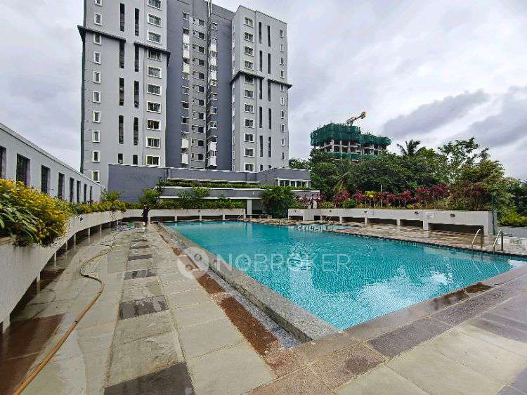 3 BHK Flat In Brigade Palm Springs For Sale  In Jp Nagar