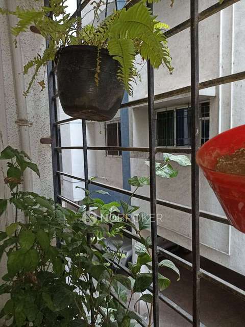 1 BHK Flat In Shree Rose Paradise Phase 2 For Sale  In Chikhali