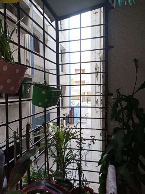 1 BHK Flat In Shree Rose Paradise Phase 2 For Sale  In Chikhali