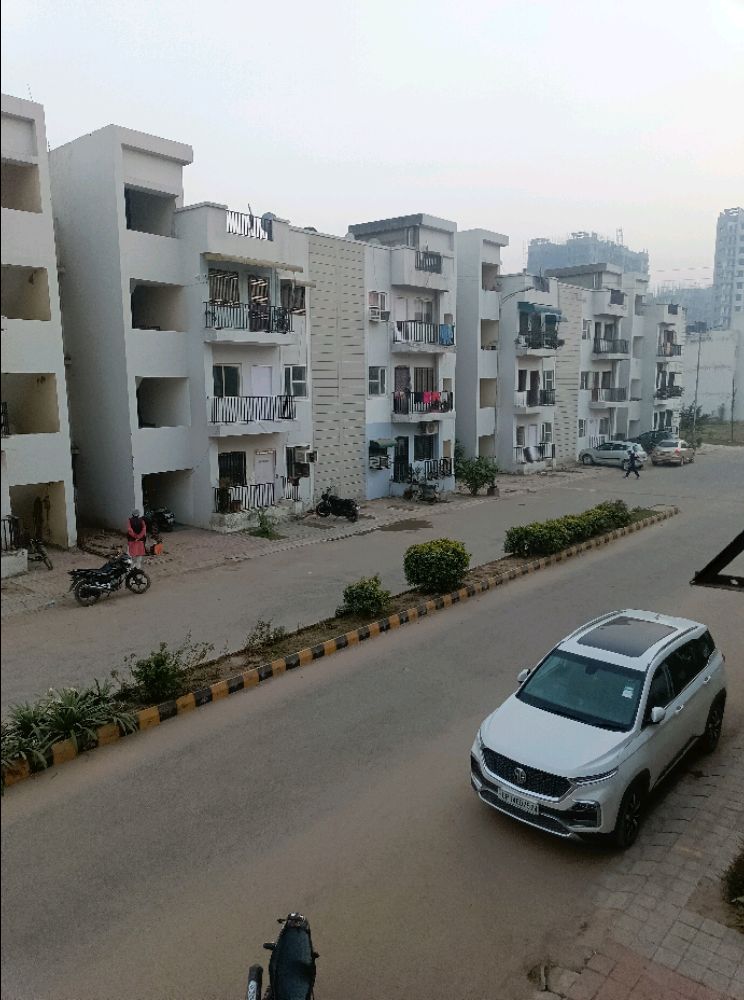 Sare Springview Floors