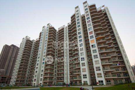 3 BHK Flat In Spaze Privy For Sale  In Sector-72