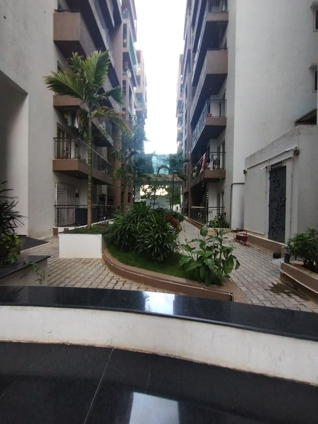 Estella Maple Square