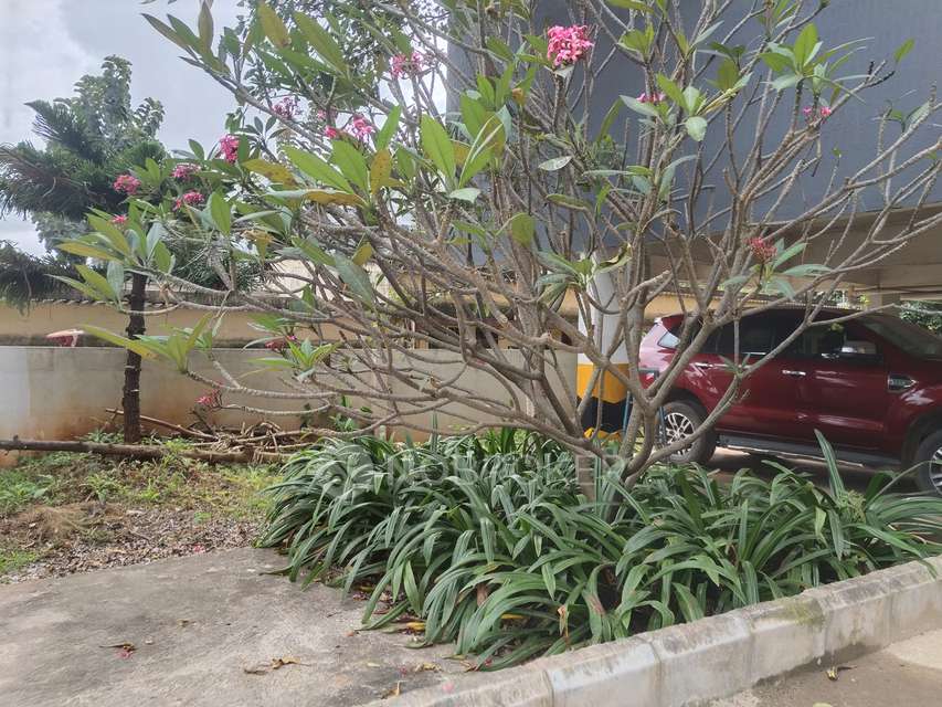 2 BHK Flat In Abode Breeze Apartments For Sale  In Electronic City