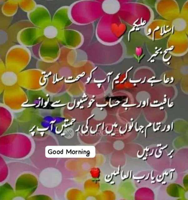 1 BHK Flat For Sale  In Mira Bhayandar,