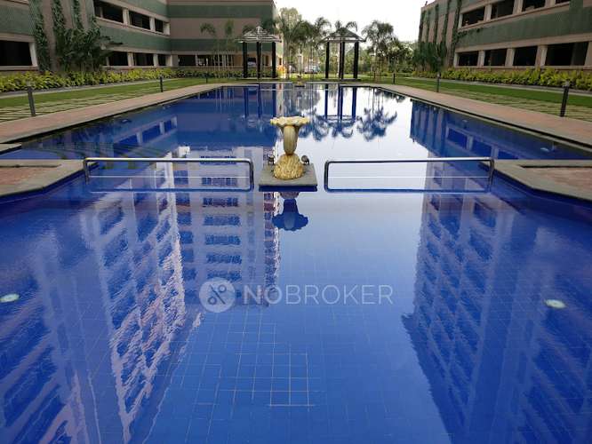 Purva Midtown Dooravani Nagar Without Brokerage Unfurnished 3 BHK