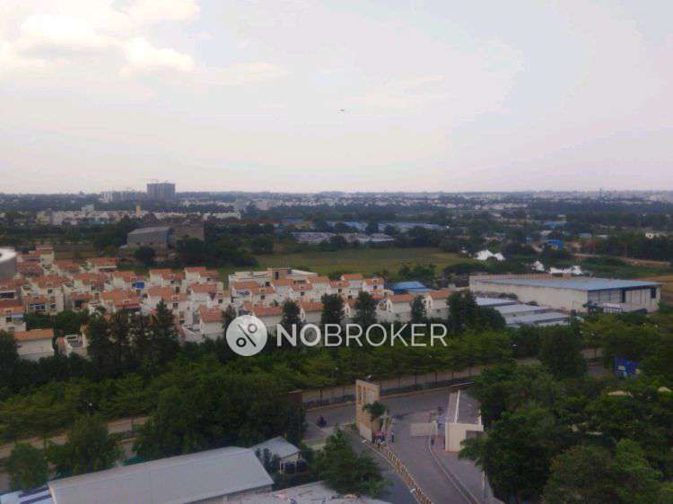 3 BHK Flat In Hallmark Pinnacle For Sale  In Kollur, Hyderabad, Telangana, India