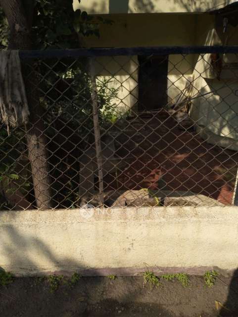 1 BHK Flat In Standalone Building  for Rent  In Hadapsar