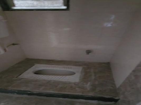 2 BHK Flat In Nayan Mountscape for Rent  In Undri