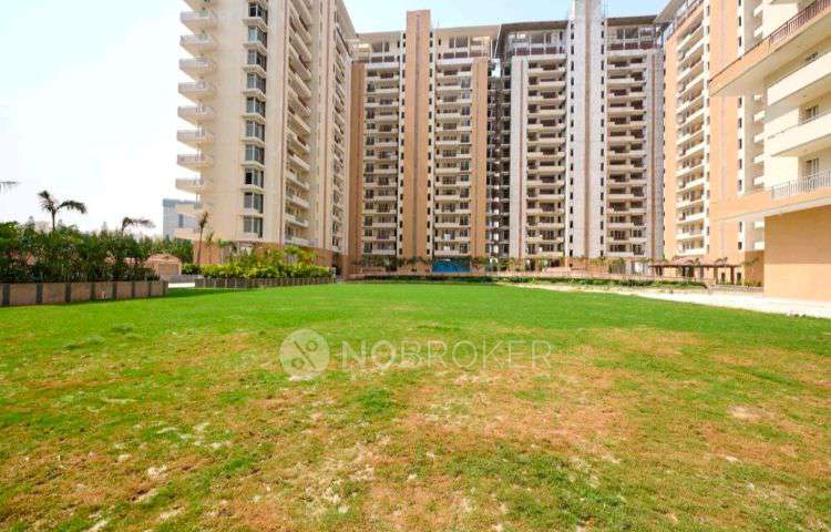3 BHK Flat In Ss Group The Leaf Gurgaon for Rent  In Sector 85