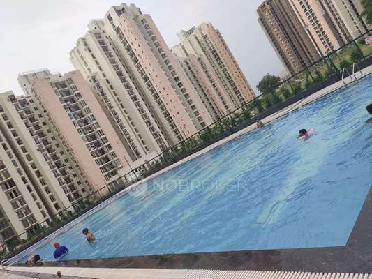 2 BHK Flat In Jaypee Aman 1 And Jaypee Aman 2, Sector 151 for Rent  In Sector 151