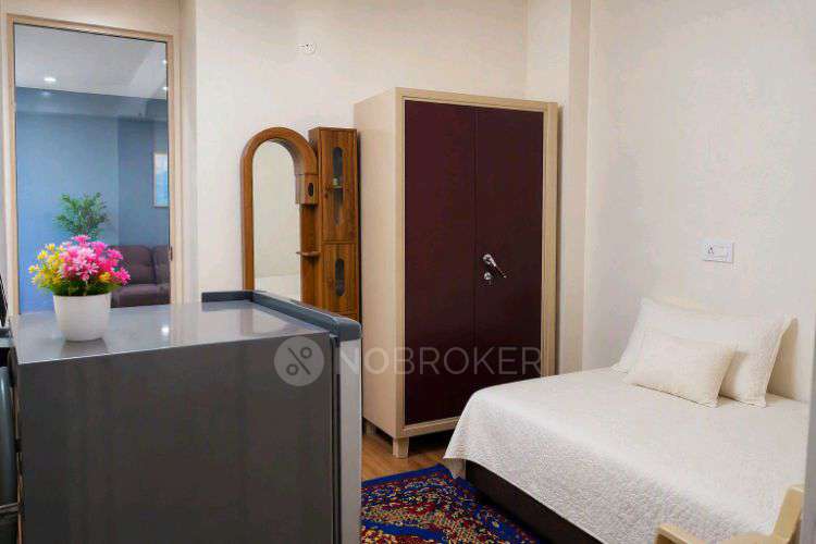 1 BHK Flat In Stand Alone Building  for Rent  In Palam Vihar