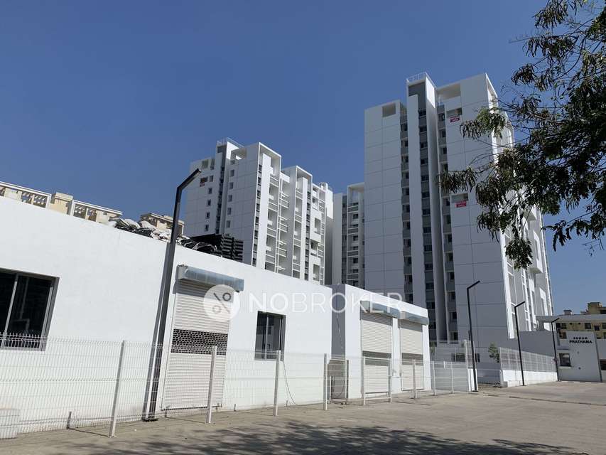 1 BHK Flat In Rohan Prathama for Rent  In Hinjewadi Phase 1