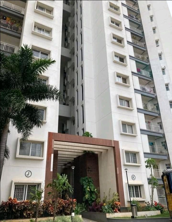 Austin Porwal Regalia