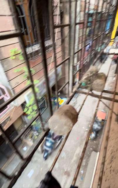 1 BHK Flat In Sai Kripa For Sale  In Rohan Wines