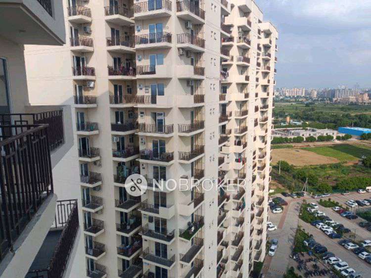 2 BHK Flat In Signature Global Roselia for Rent  In Sector 95a