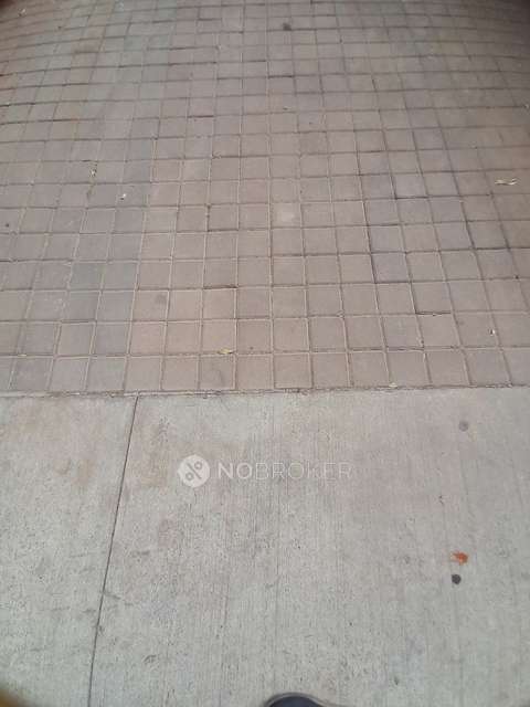 3 BHK Flat In Lodha Belmondo for Rent  In Gahunje