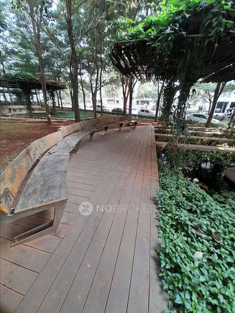 3 BHK Flat In Lodha Belmondo for Rent  In Gahunje