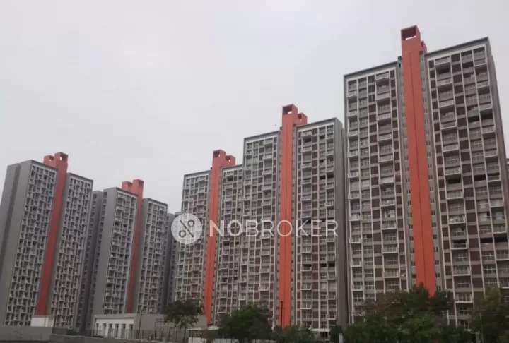 3 BHK Flat In Lodha Belmondo for Rent  In Gahunje