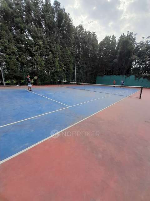 3 BHK Flat In Lodha Belmondo for Rent  In Gahunje