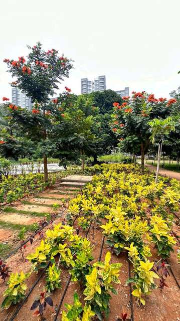 2 BHK Flat In Godrej Royale Woods For Sale  In Boovanahalli