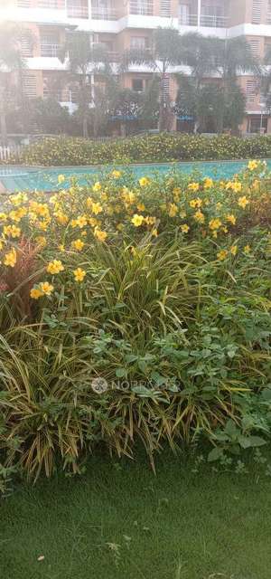 1 BHK Flat In Labdhi Gardens For Sale  In Neral