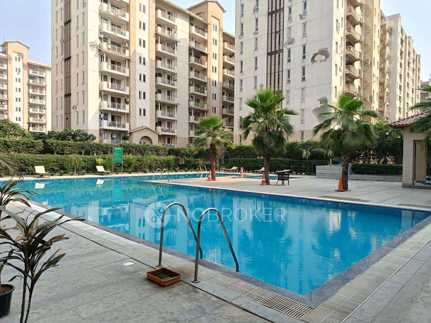 3 BHK Flat In Emaar Mgf Palm Hills for Rent  In Sector 77