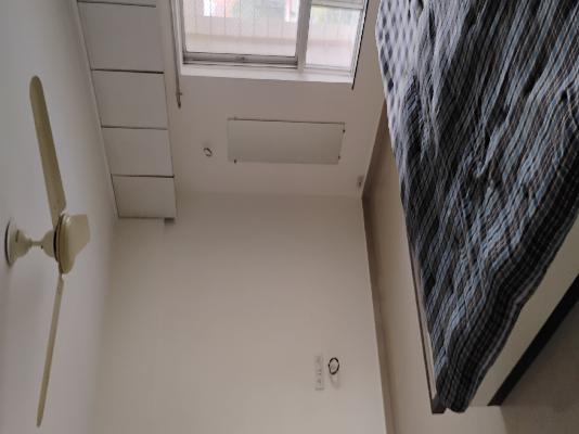 2 BHK Flat In Daffodils Housing Society for Rent In Pimpri-chinchwad