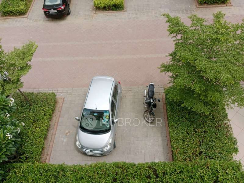 4 BHK Flat In Bptp Amstoria for Rent  In Secto 102